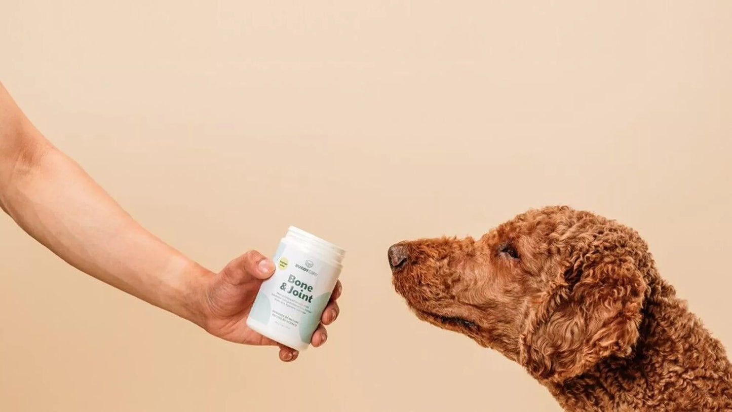 BUDDY CARE BONE & JOINT ΣΥΜΠΛΗΡΩΜΑ ΔΙΑΤΡΟΦΗΣ