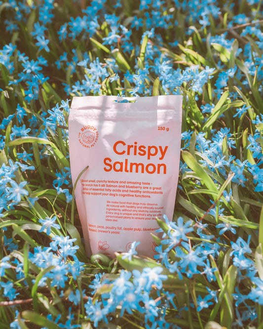 BUDDY CRISPY SALMON ΛΙΧΟΥΔΙΕΣ ΜΕ ΣΟΛΟΜΟ ΚΑΙ BLUEBERRIES