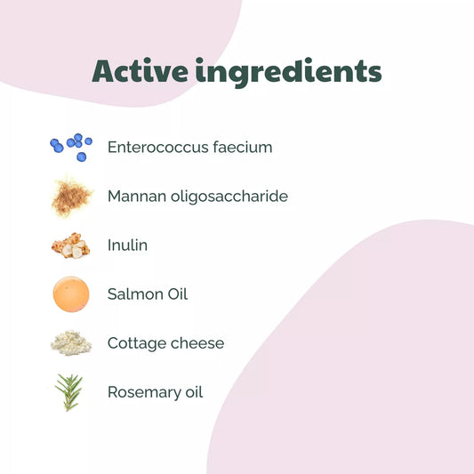 BUDDY CARE PROBIOTIC BITES ΣΥΜΠΛΗΡΩΜΑ ΔΙΑΤΡΟΦΗΣ