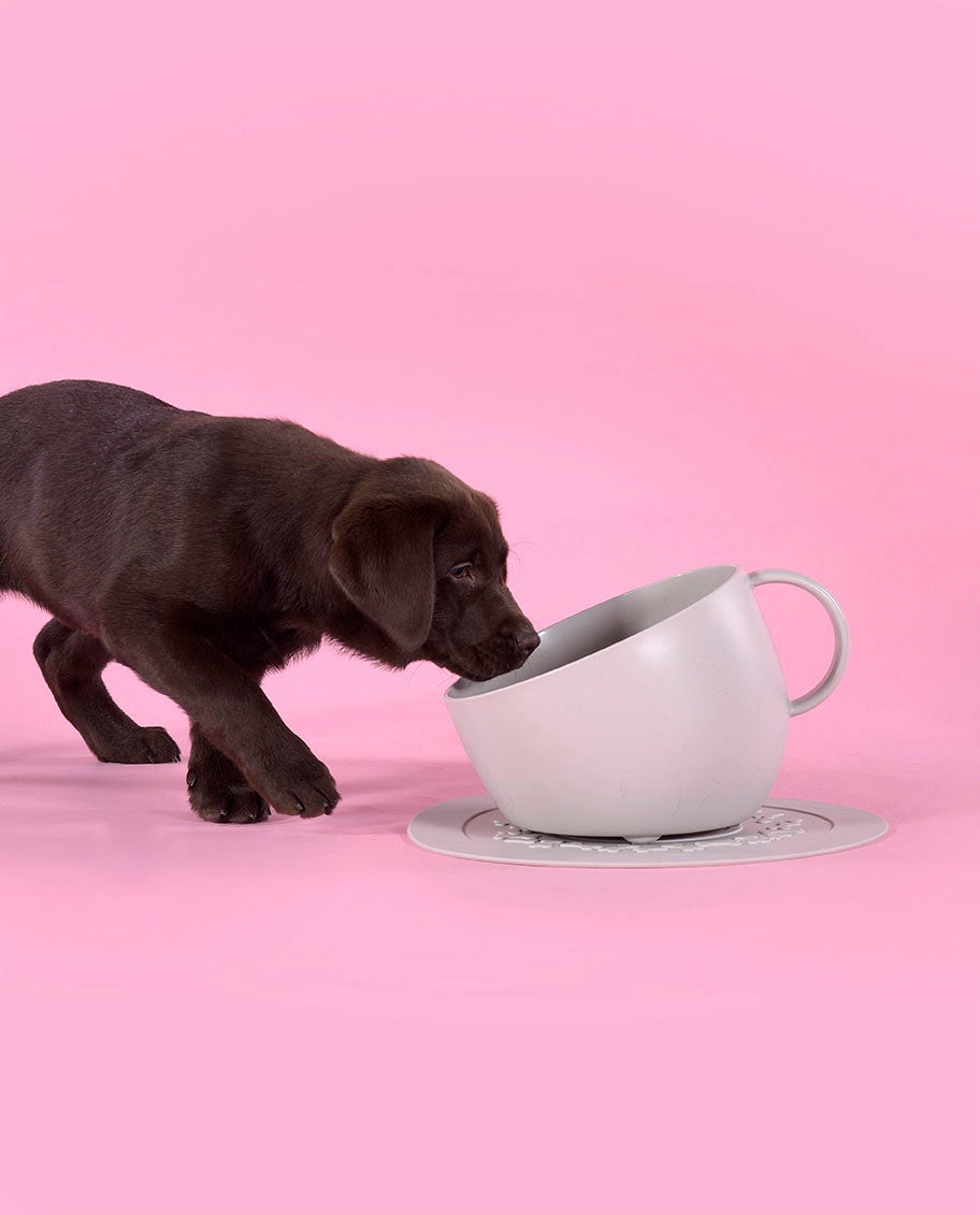 United Pets - Single Cup