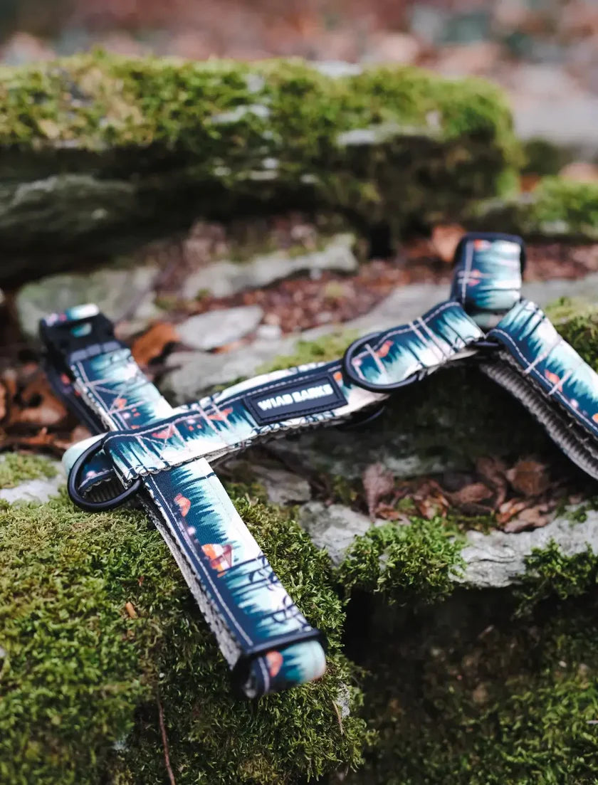 WILD BARKS ΣΑΜΑΡΑΚΙ ΣΚΥΛΟΥ - CAMP LIFE