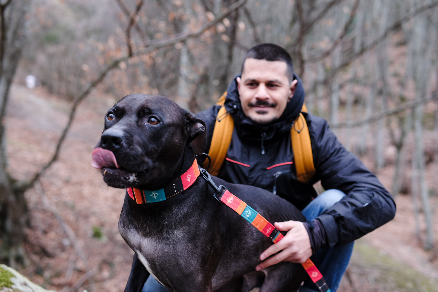 Wild Barks Dog Collar - NATIVE