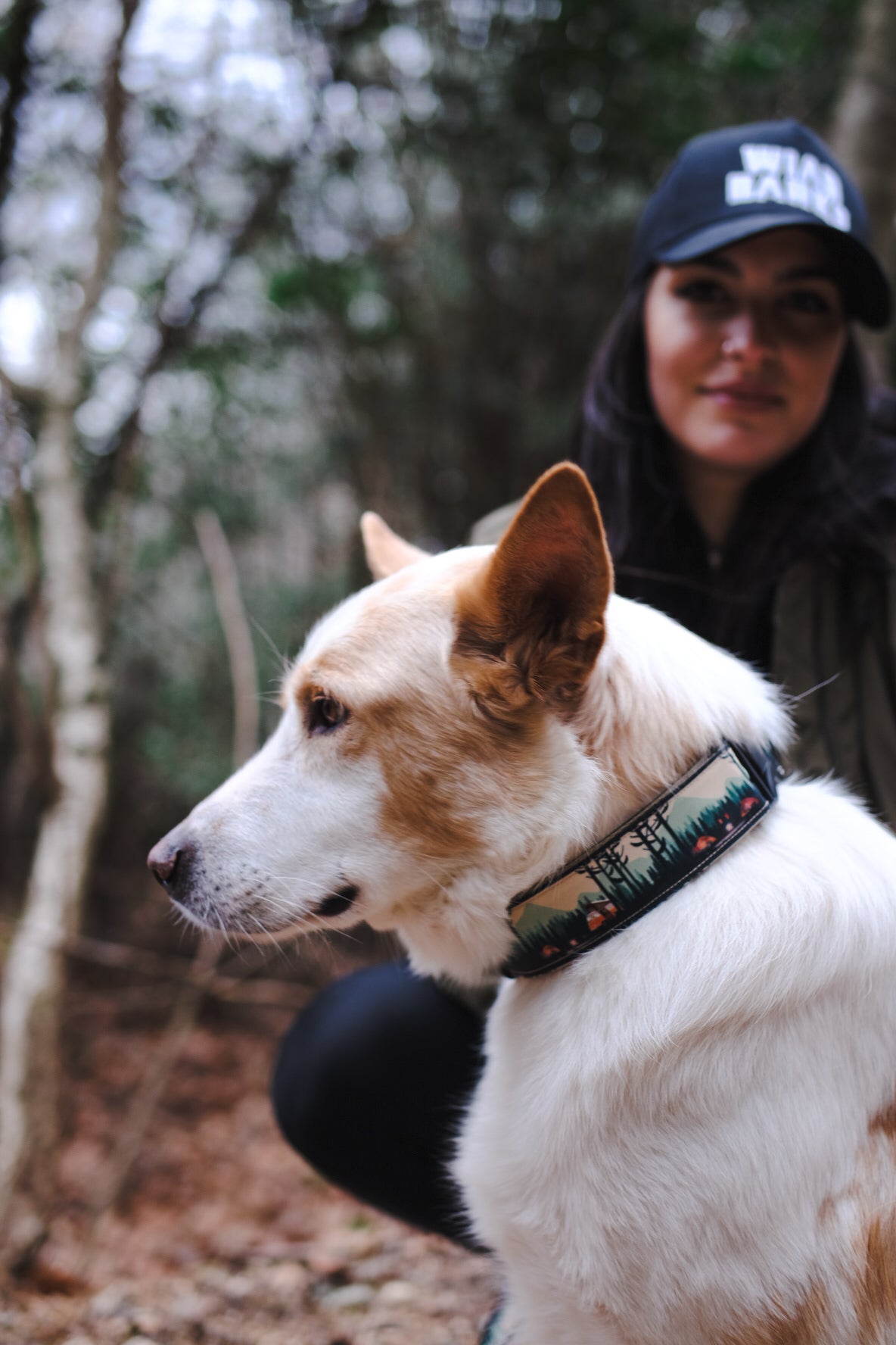 Wild Barks Dog Collar - CAMP LIFE