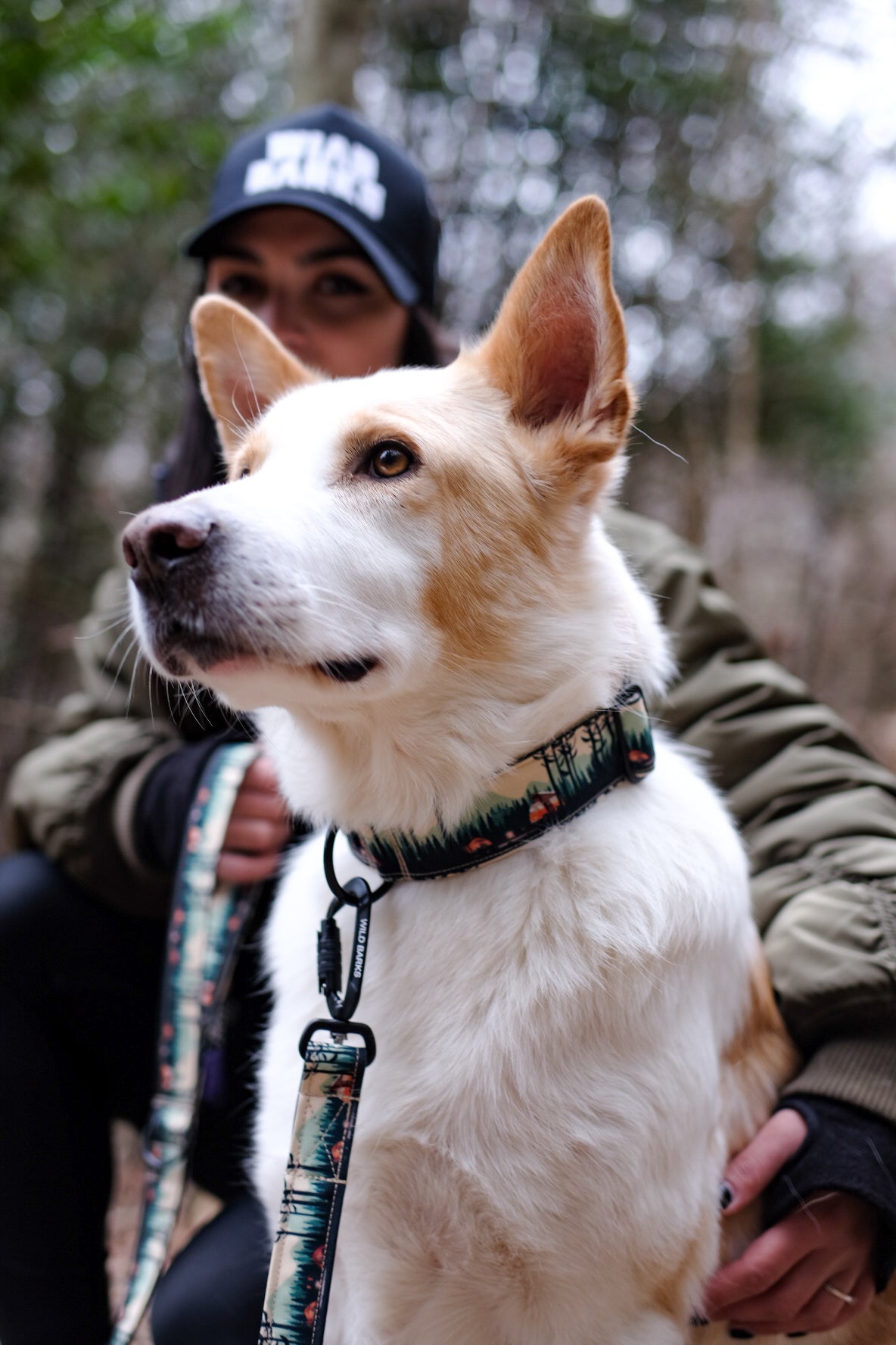 Wild Barks Dog Collar - CAMP LIFE