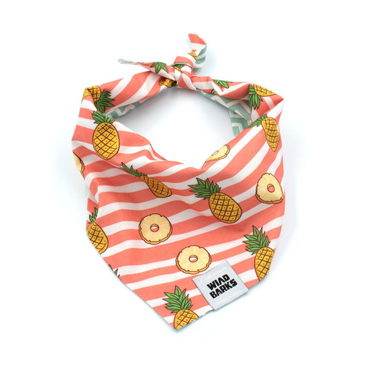 Wild Barks Bandana - PINEAPPLES