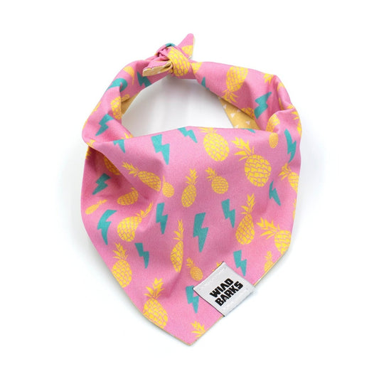 Wild Barks Bandana - ROCK PINEAPPLES