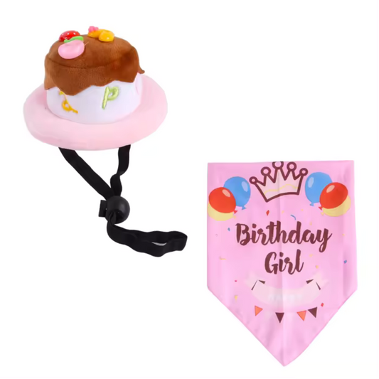 Birthday Dog Cake Hat and Bandana - Pink