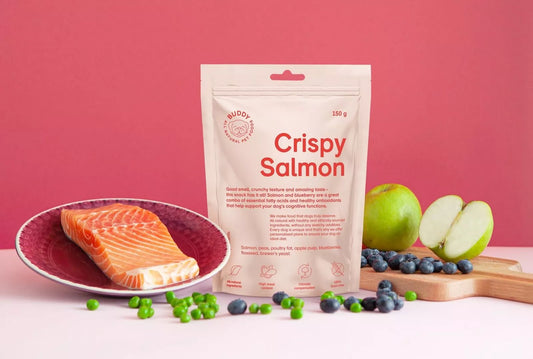 BUDDY CRISPY SALMON ΛΙΧΟΥΔΙΕΣ ΜΕ ΣΟΛΟΜΟ ΚΑΙ BLUEBERRIES