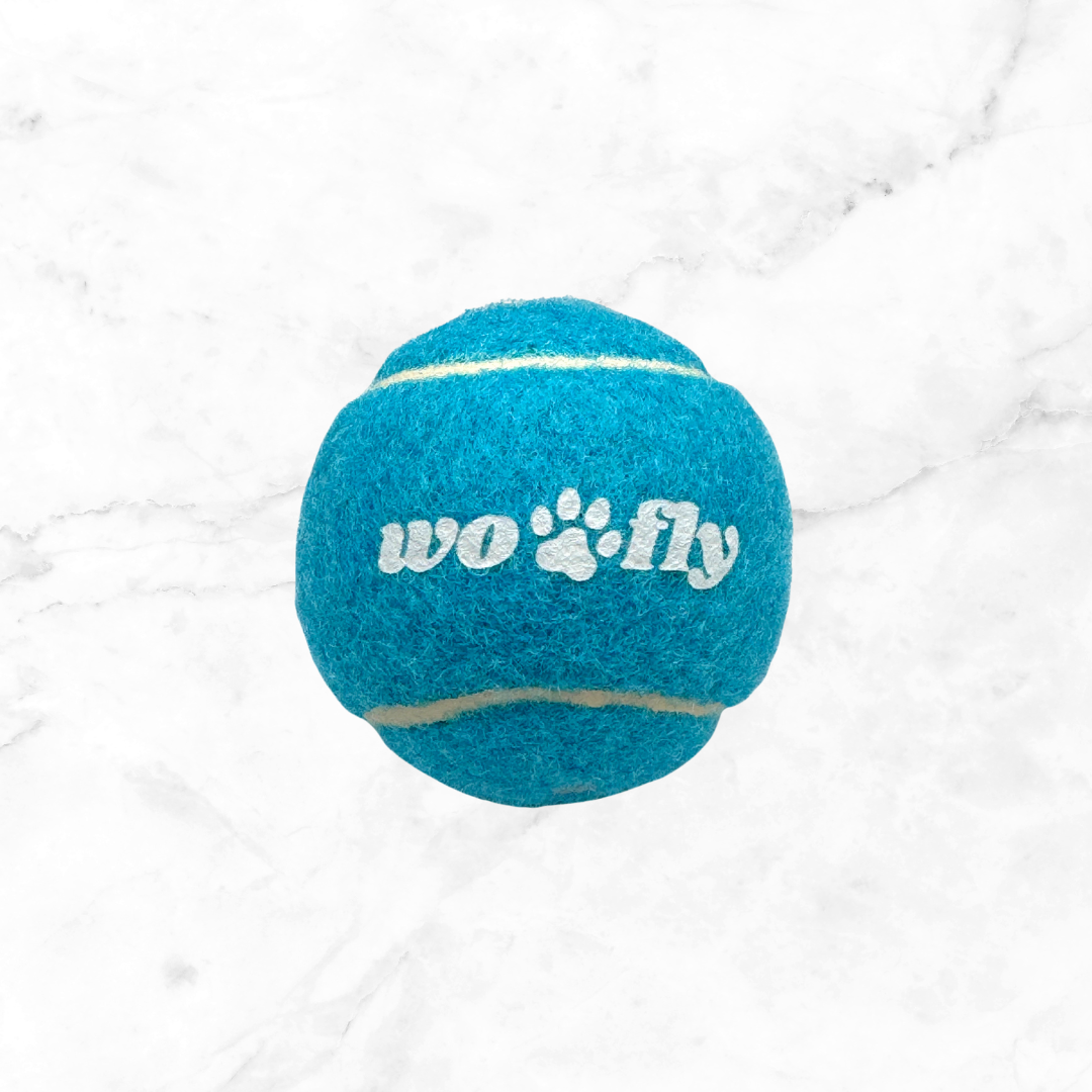 WOOFLY SQUEAKY TENNIS BALL - BLUE