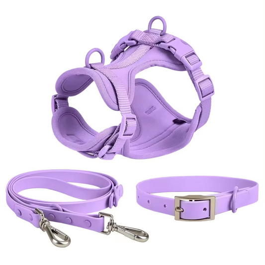 PVC Harness, Collar and Leash Set - Violet