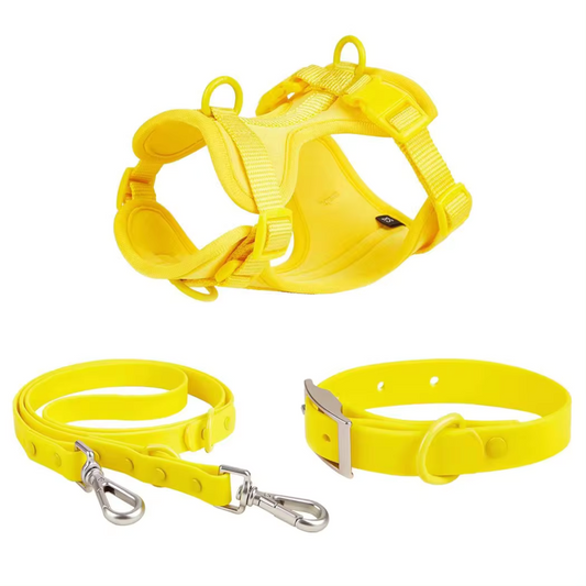 PVC Harness, Collar and Leash Set - Yellow