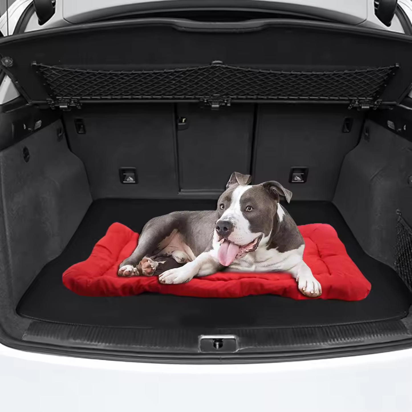 Portable Dog Travel Mat - Red