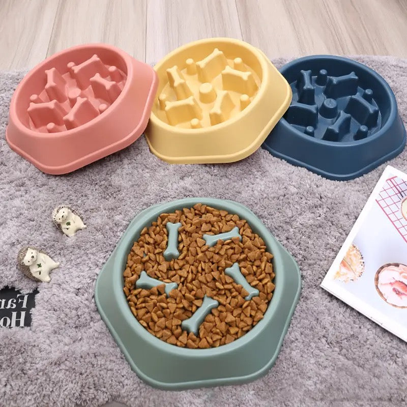 SLOW FEEDER DOG BOWL