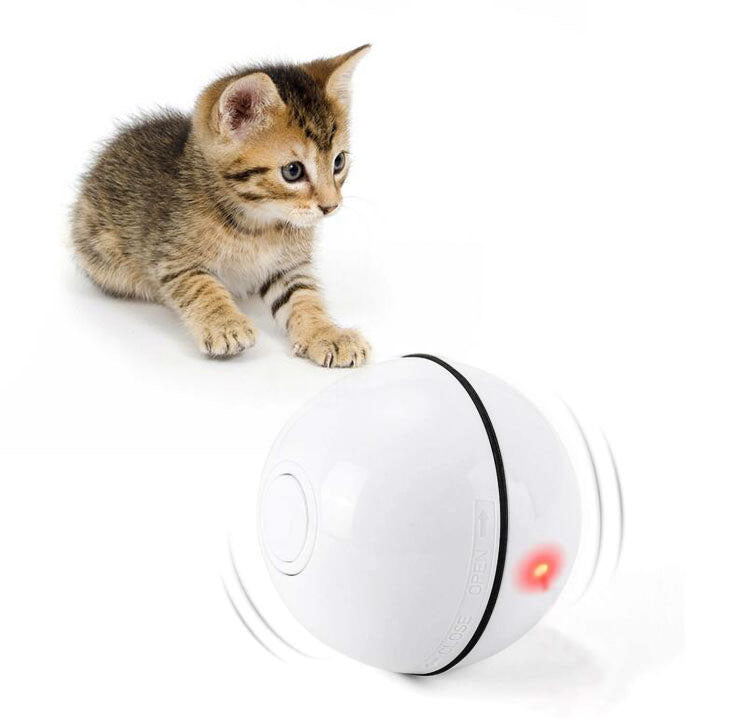 Interactive Cat Toy Ball